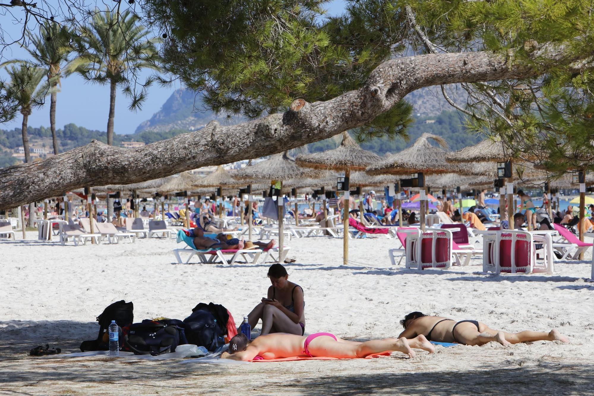 Sommer-Urlaub im Oktober: So sieht es derzeit am Strand von Alcúdia auf Mallorca aus