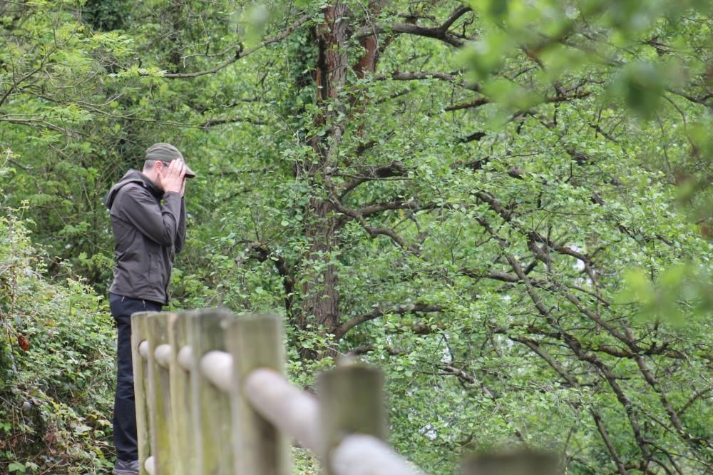 Asturias se prepara para capturar el Campanu