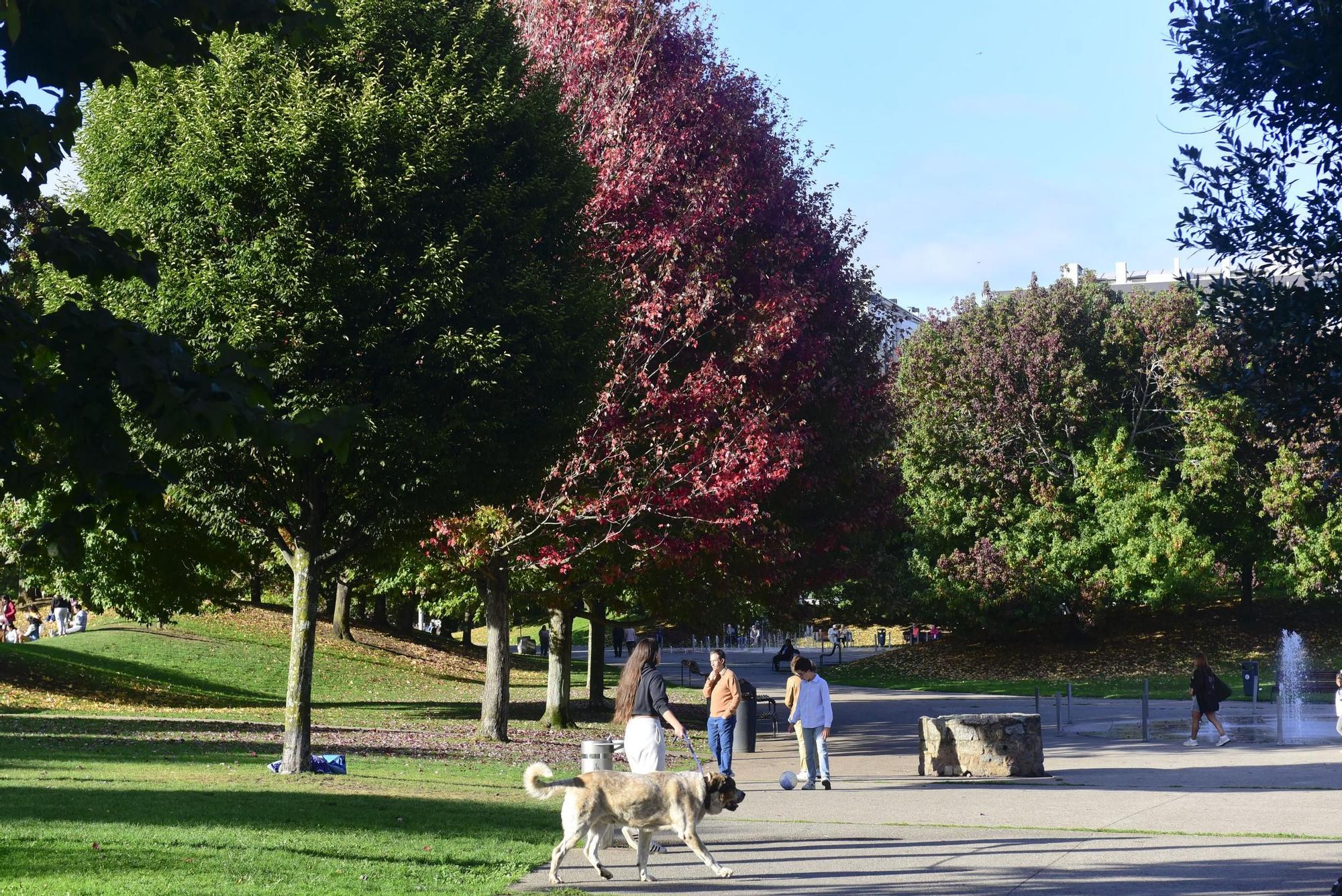 El parque de Vioño: la estampa perfecta del otoño en A Coruña