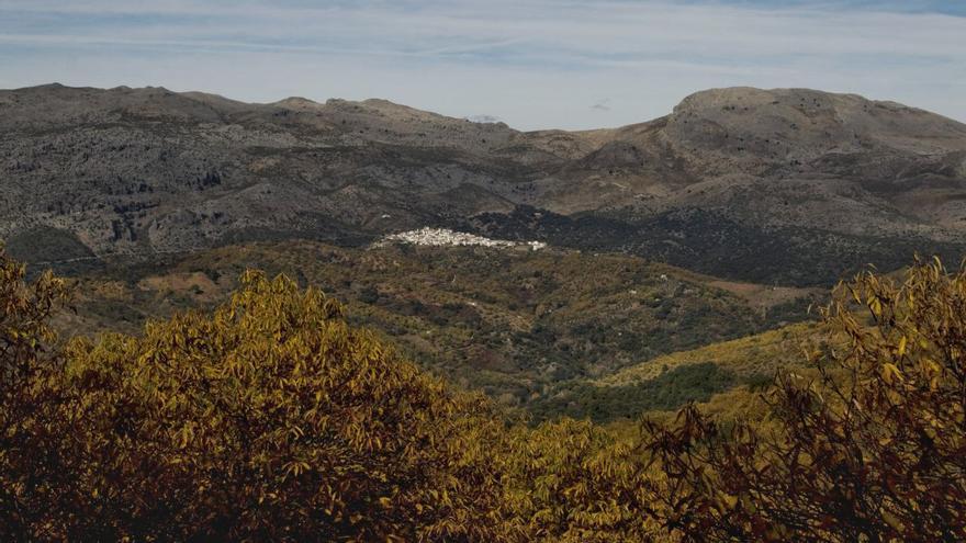 La lluvia deja cerca de 50 litros en el Valle del Genal