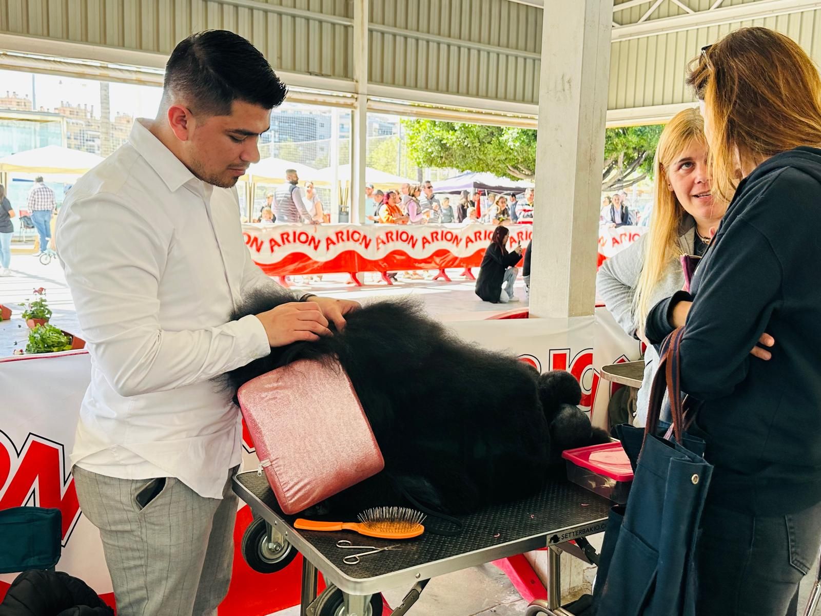 Más de 500 mascotas participan en la primera jornada del Concurso Internacional Canino en Torrent