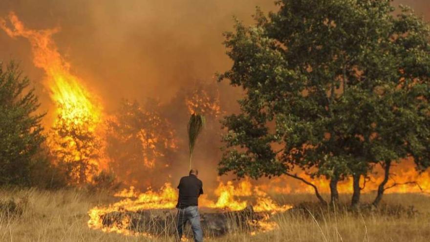 Un vecino intenta parar las llamas en el macroincendio de Cualedro. // Brais Lorenzo