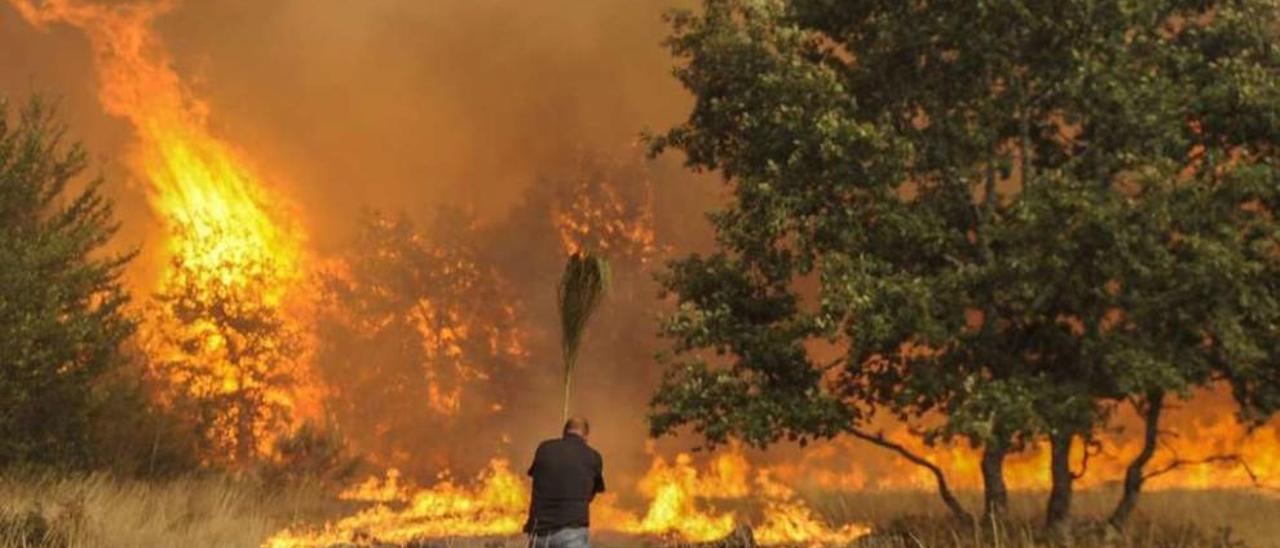 Un vecino intenta parar las llamas en el macroincendio de Cualedro. // Brais Lorenzo