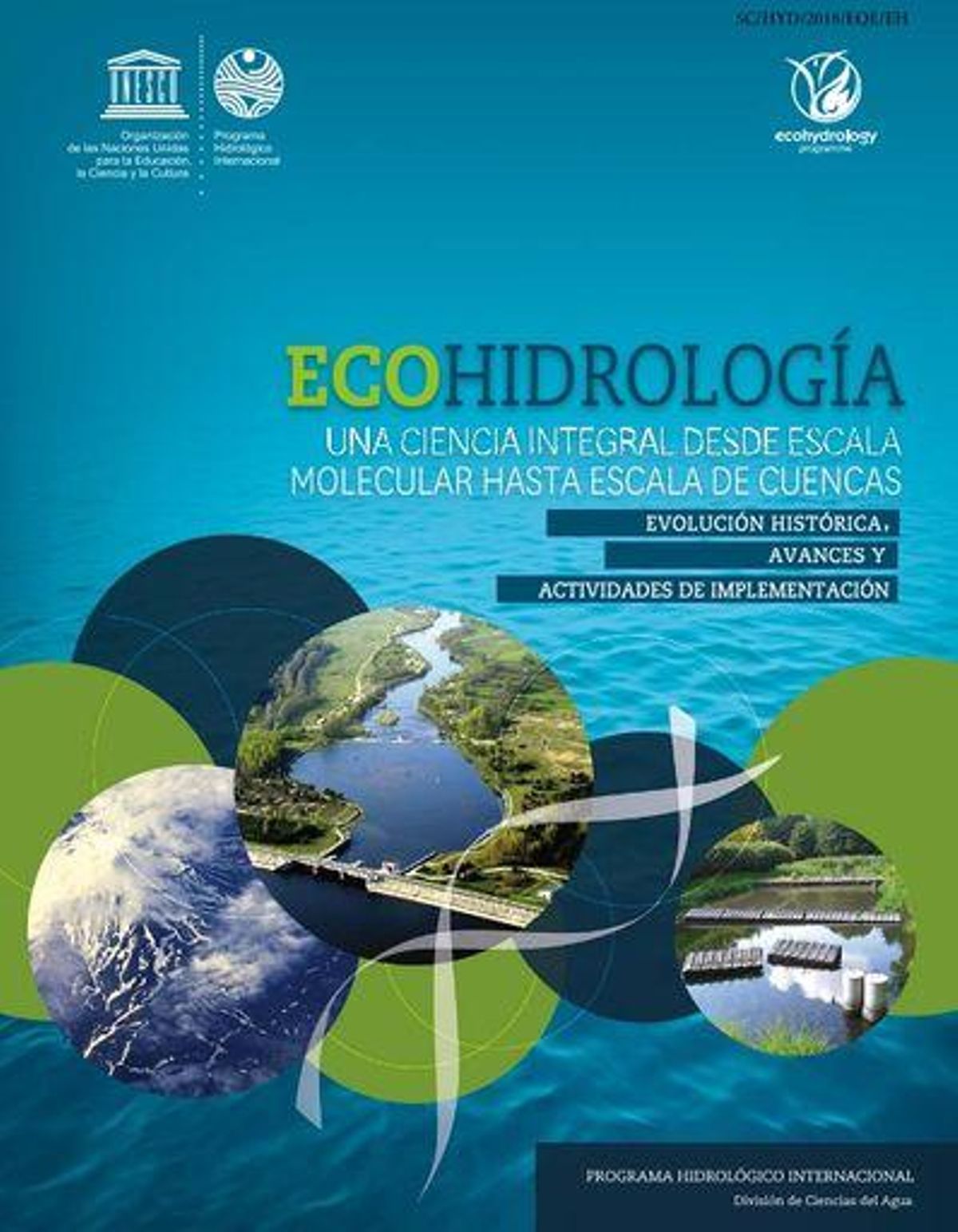 Modelo ecohidrológico.