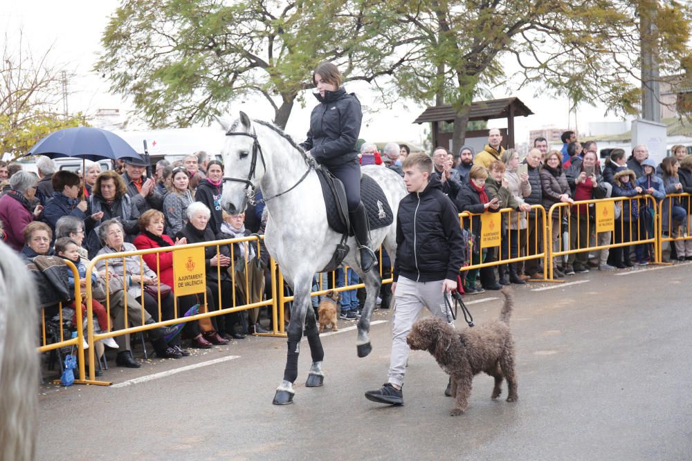 Fiesta de Sant Antoni en la ermita de vera