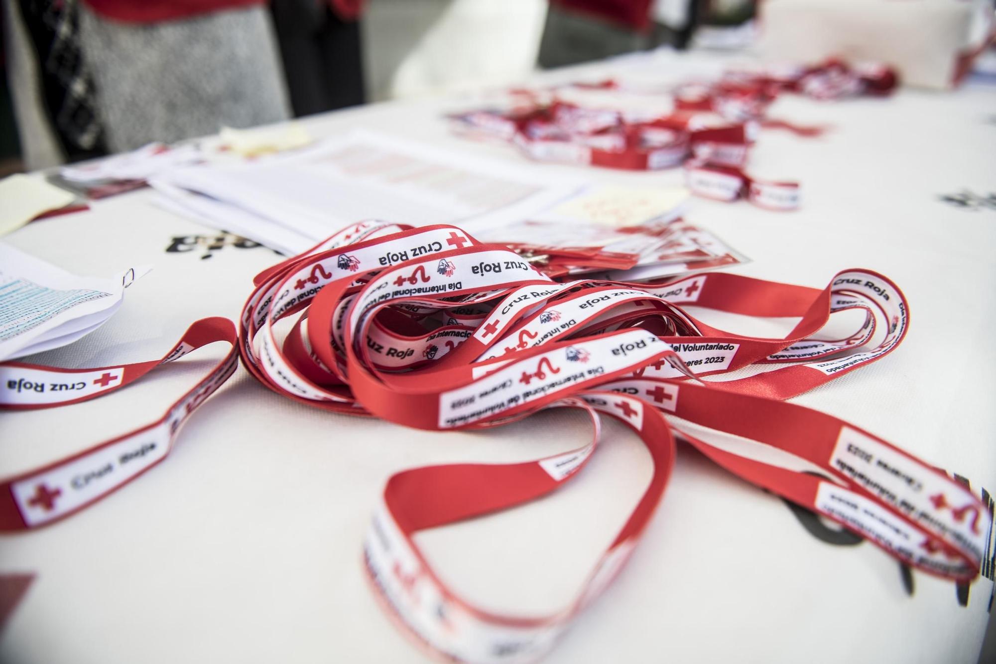 GALERÍA | Así fue el Día del Voluntariado en el Palacio de Congresos de Cáceres