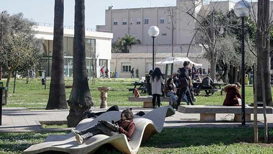 Imagen del campus de la Universitat en la carretera de Valldemossa.