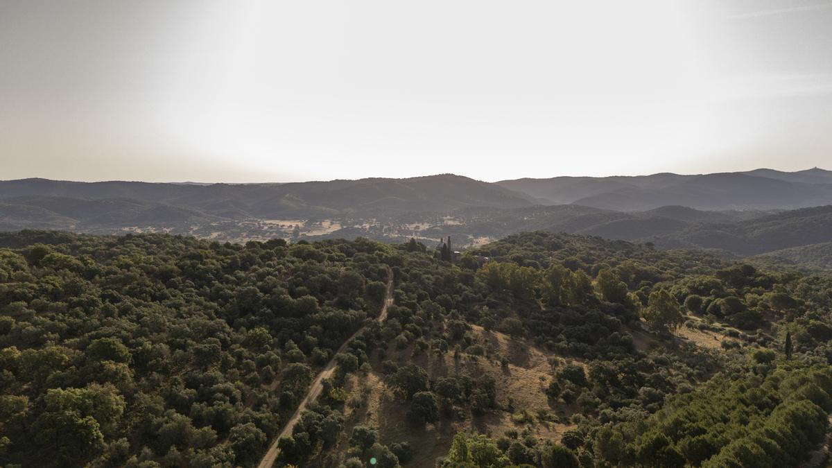 Parque Natural Sierra Norte de Sevilla