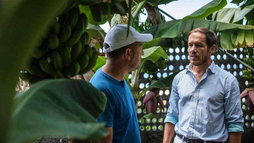 Mariano Hernández Zapata (PP), presidente del Cabildo de La Palma, conversa con un platanero durante una visita a una finca del Valle de Aridane.