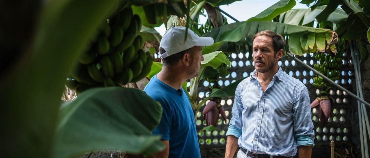 Mariano Hernández Zapata (PP), presidente del Cabildo de La Palma, conversa con un platanero durante una visita a una finca del Valle de Aridane.