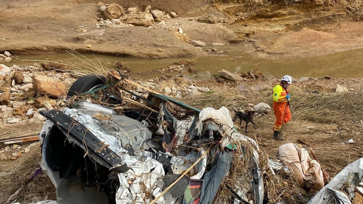 Así trabaja "Anja", la perra asturiana que busca cuerpos en la peor zona de Valencia