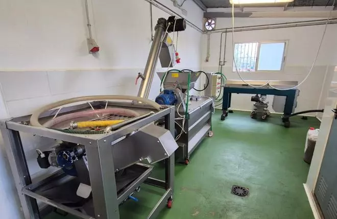 Oliva tendrá una almazara municipal ante el aumento de la producción de aceite