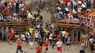 Cinco siglos de tradición taurina en Fermoselle