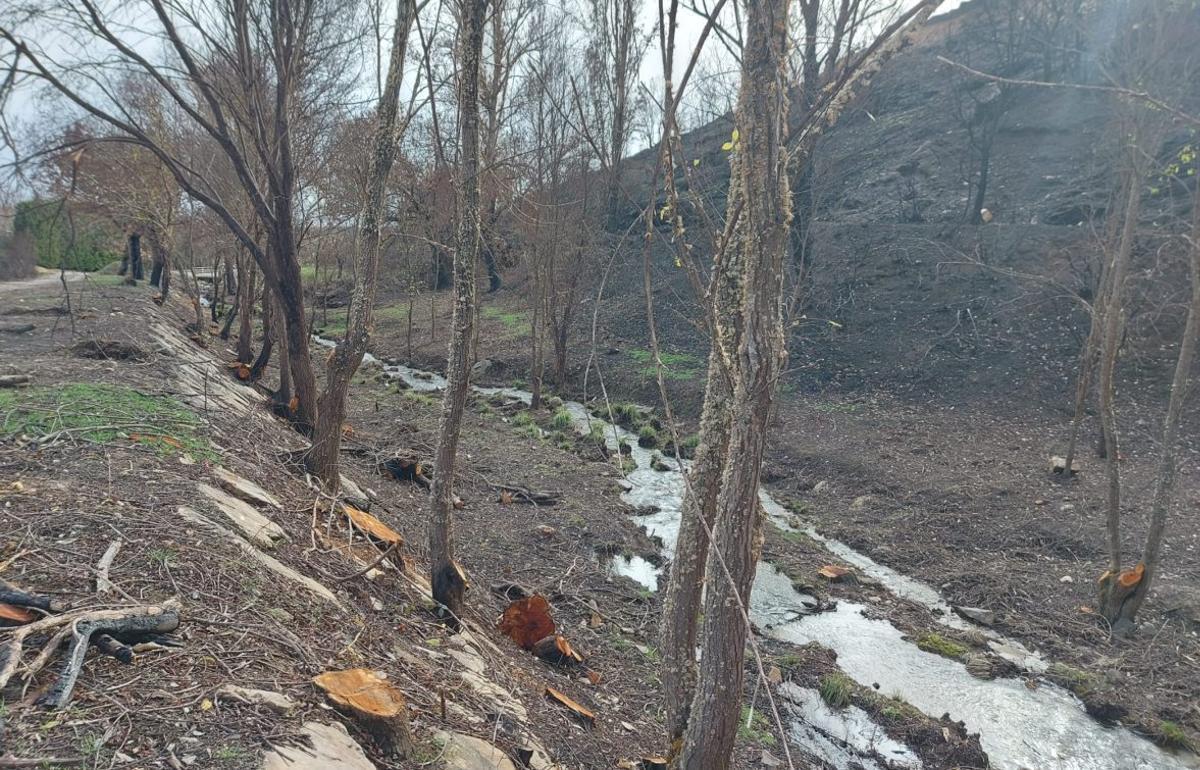 Limpieza del material erosionado por el fuego en Congosta. | E. P.