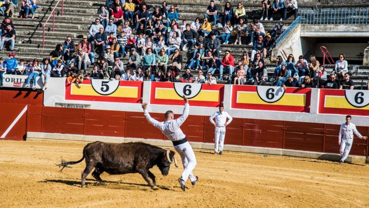 El domingo tuvo lugar un espectáculo taurino en la plaza de toros. |   