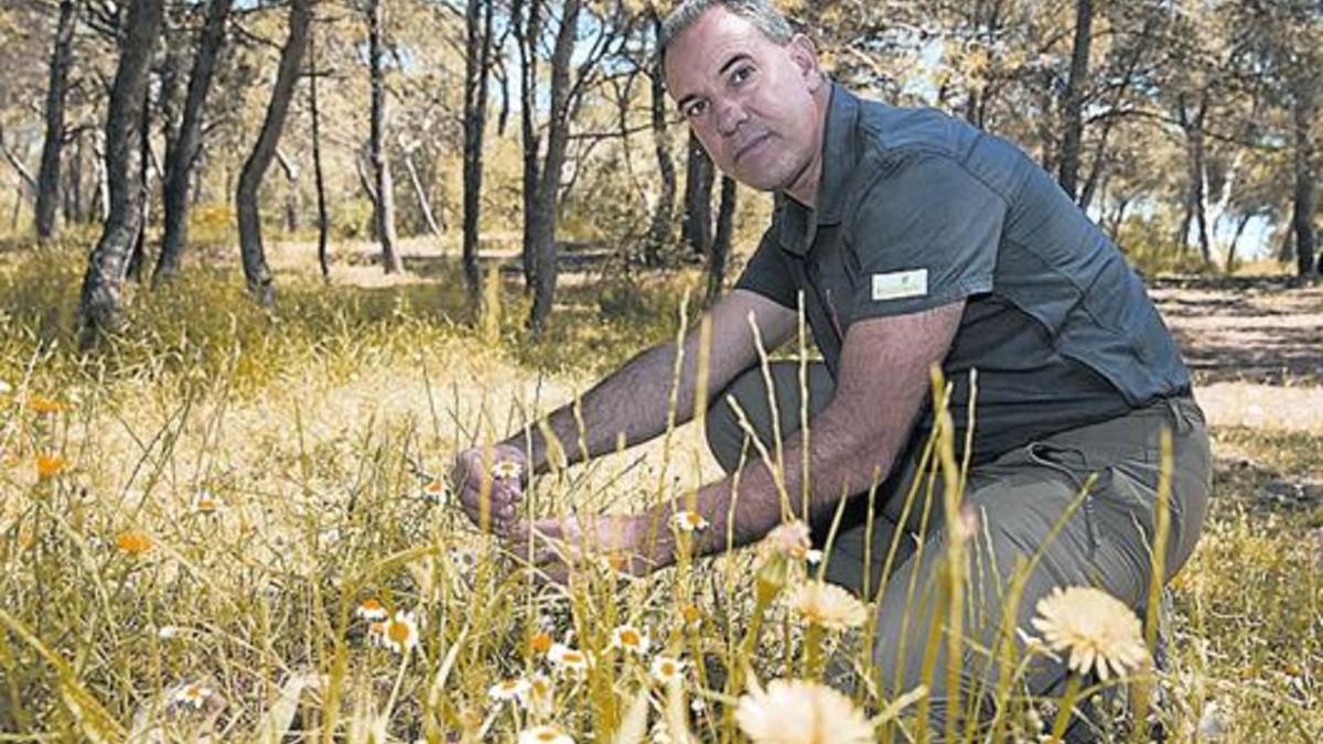 «Los jóvenes chefs saben esferificar pero no leer el paisaje»_MEDIA_1