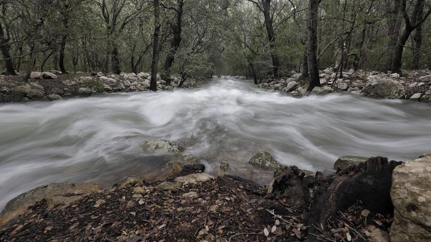 Ses Fonts Ufanes brotan tras las lluvias de la borrasca &#039;Isaack&#039;