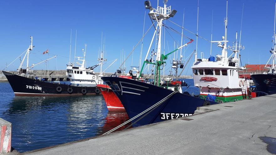 Barcos pesqueros en el puerto de Bermeo.