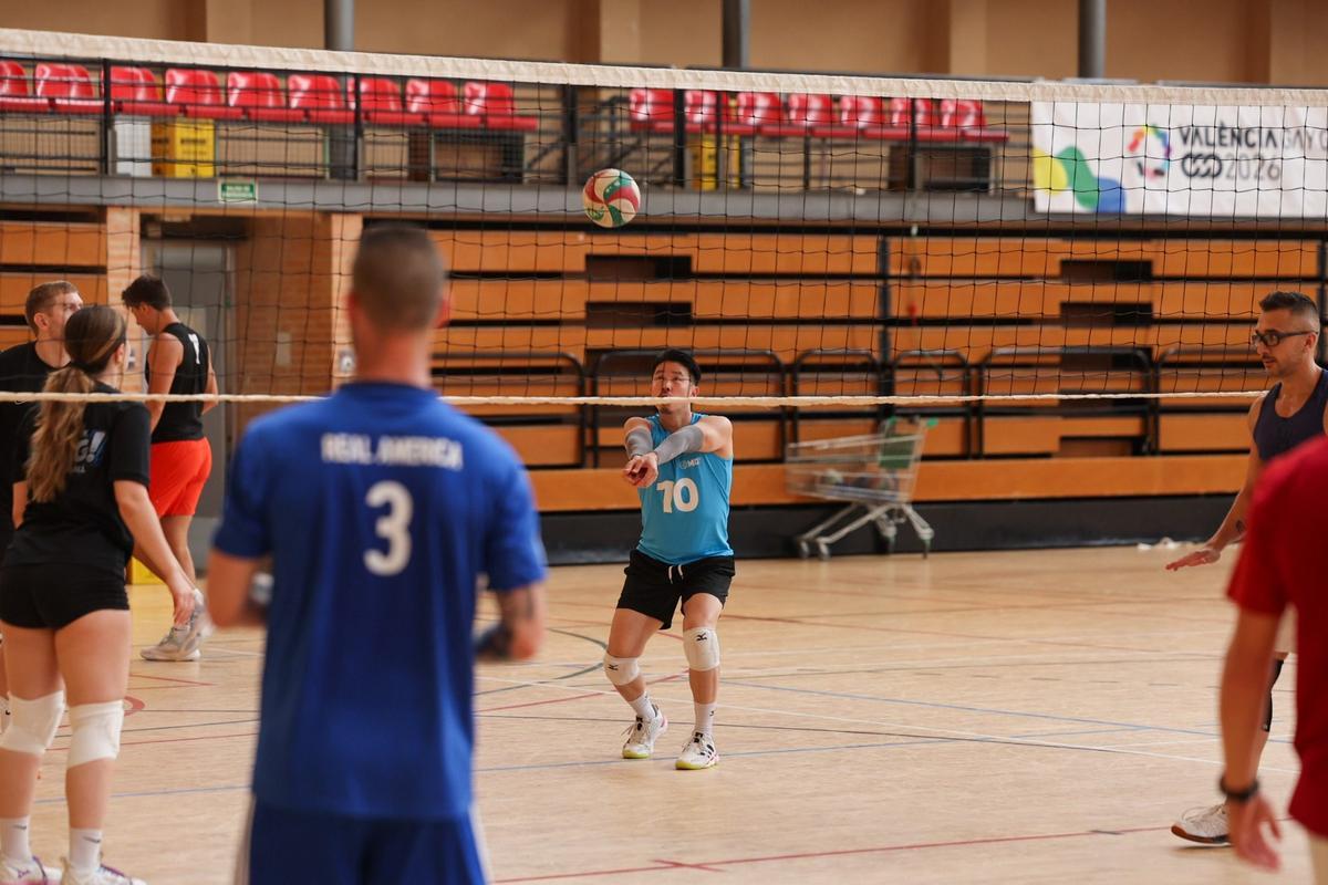 Voleibol