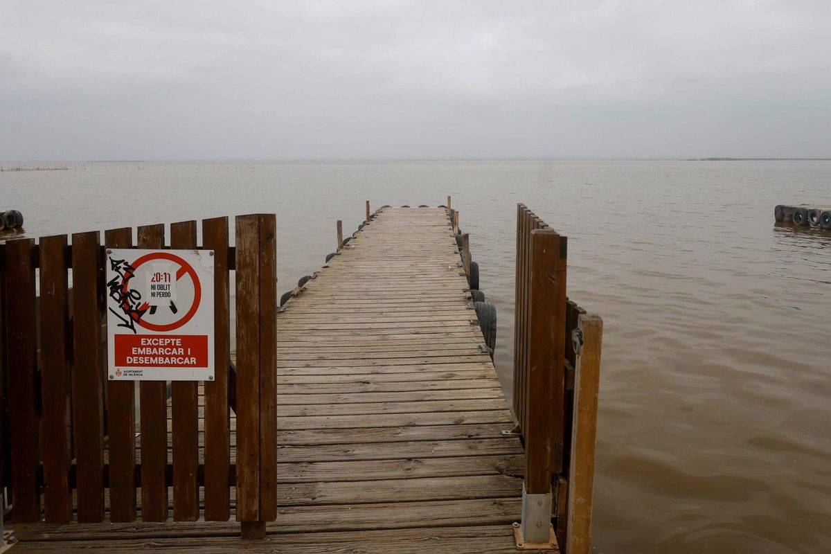 Valencia. Parque natural de L’ Albufera . El agua del lago vuelve a estar de color marrón, como ya ocurriera el verano pasado. VLC