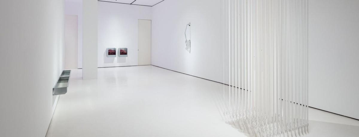 Violencia aséptica en el arte | | SERGIO ACOSTA