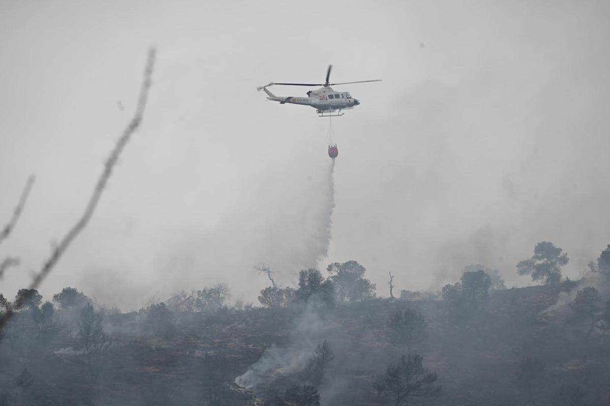 Fuego en Algueña: así está siendo el operativo para la extinción