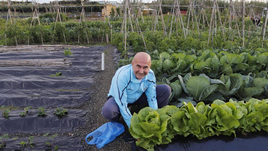 El candidato de UPyD, entre lechugas ecológicas en su propio huerto en Vélez-Málaga