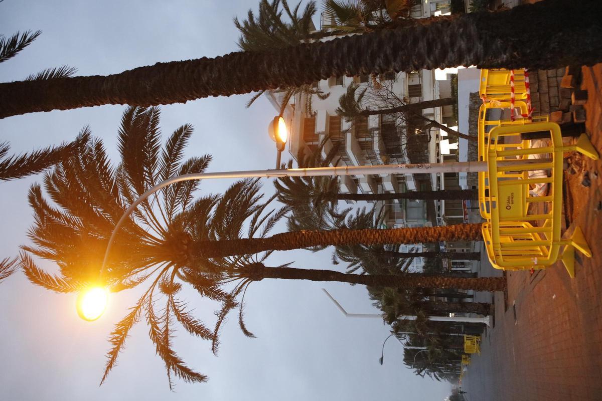 Die Playa de Palma macht sich schick für die Saison: So sieht es an den Baustellen derzeit aus