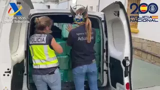 Registros en Madrid y Alicante permiten esclarecer el mayor alijo del narcotráfico en España
