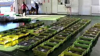 La facturación de las lonjas gallegas de pescado superó los 412 millones de euros el pasado año