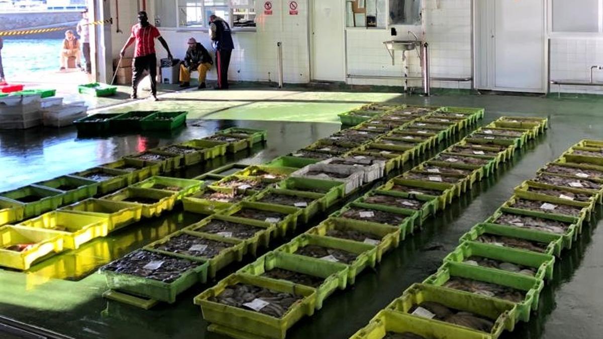 Cajas de pescado para ser subastado en la lonja de Malpica