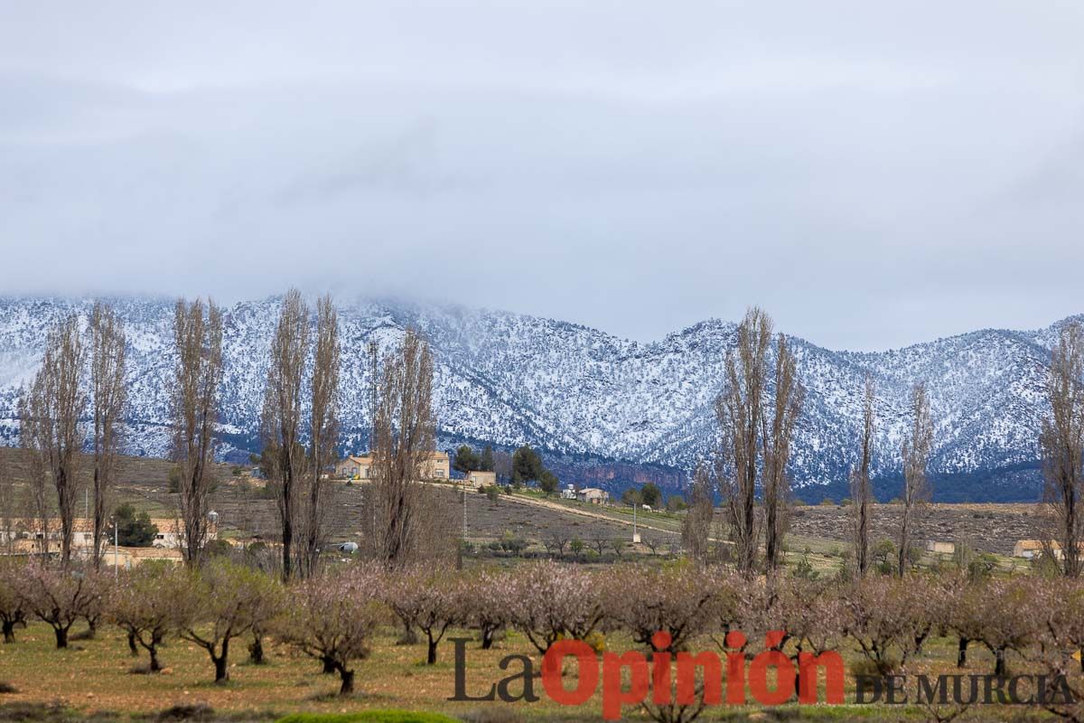 La comarca del Noroeste ofrece una estampa invernal