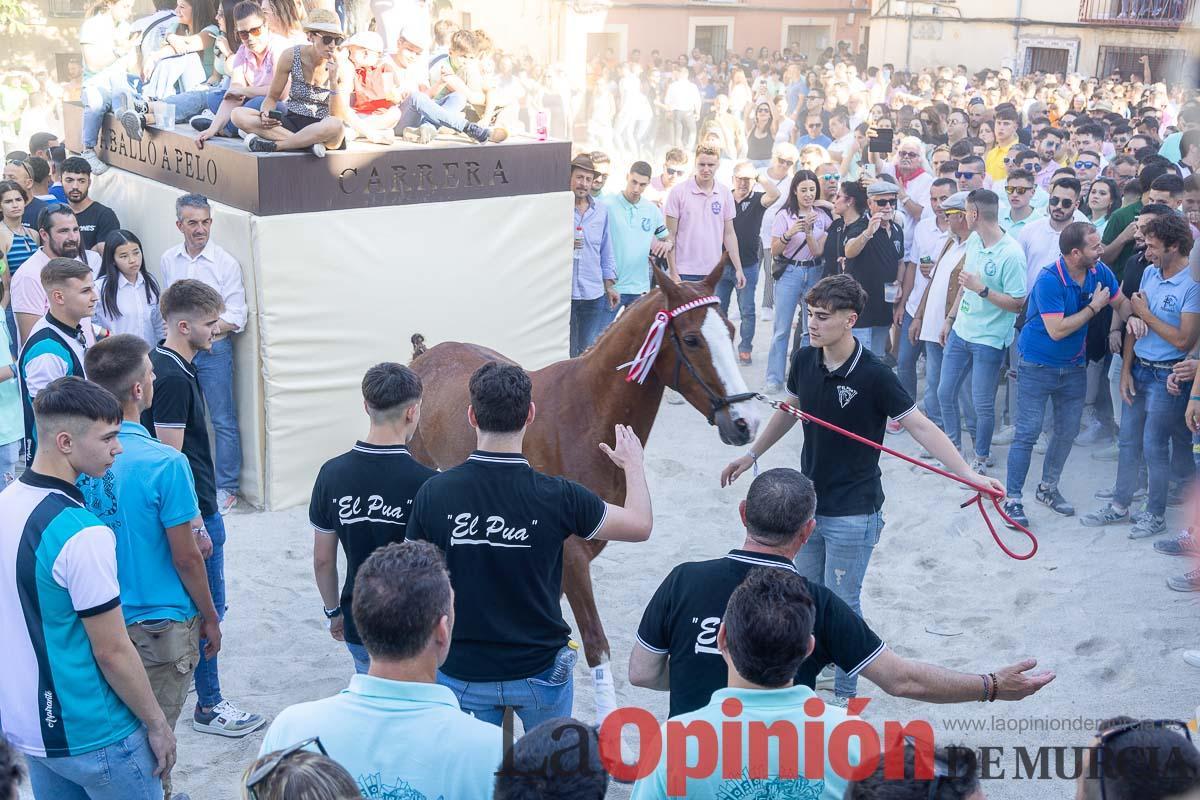 Entrada de caballos al Hoyo en las Fiestas de Caravaca