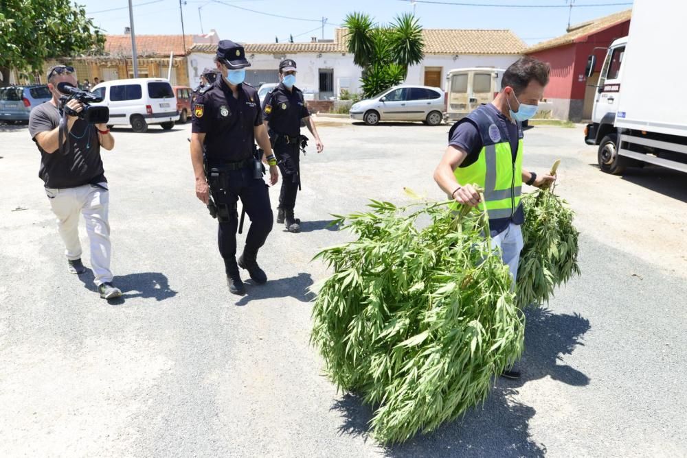 Policías actúan en la finca de El Palmero.