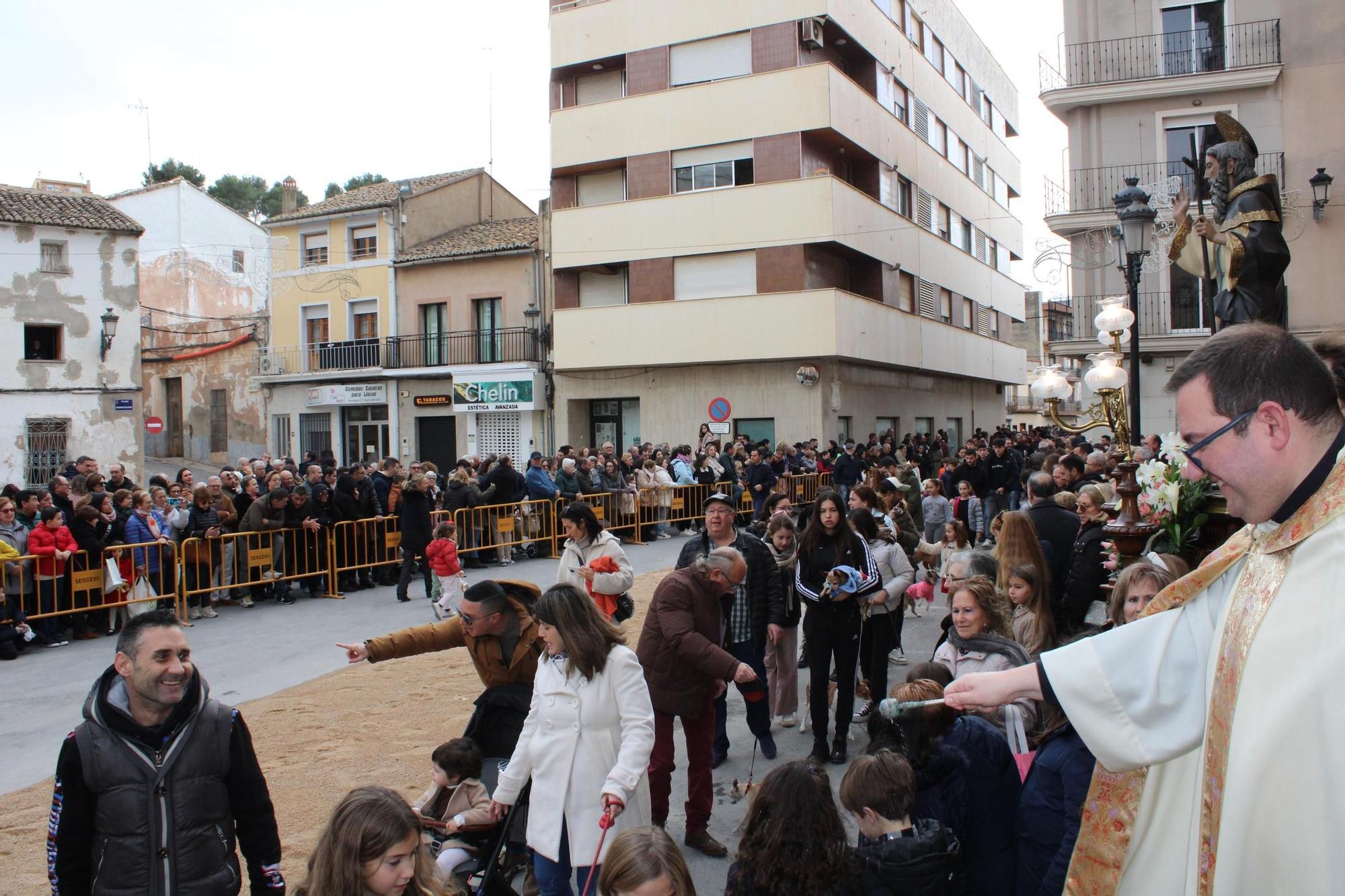 Las fiestas de Sant Antoni de Turís, en imágenes