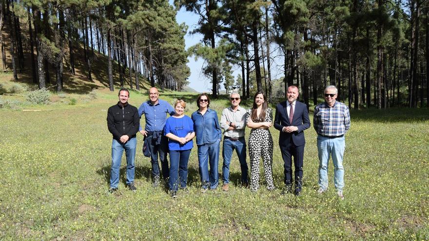 Gáldar avanza en el proyecto de creación un área recreativa en el Pinar de La Herradura