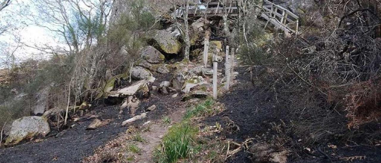 Una parte de la zona quemada en marzo, en el entorno del mirador de Pedra Morcegueira. // G. Núñez