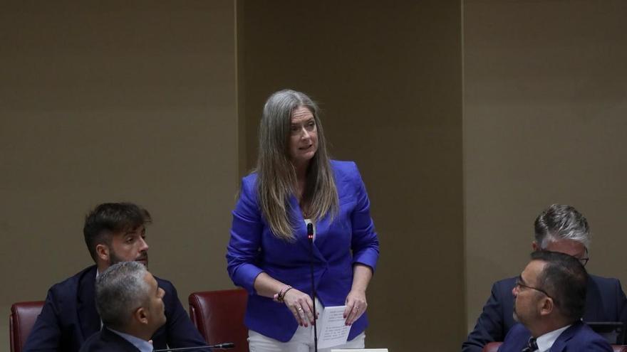 Unanimidad en la Asamblea para reclamar al Gobierno más agen