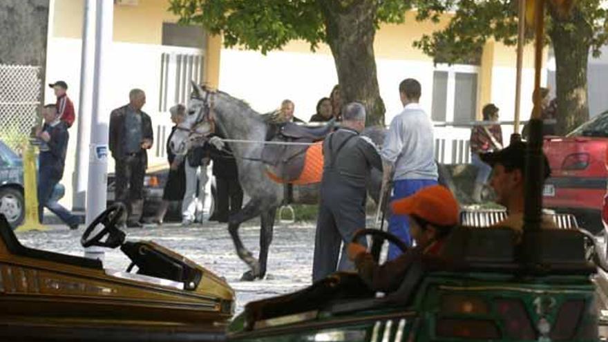 Una imagen de la Feira Cabalar de Pascua del pasado año