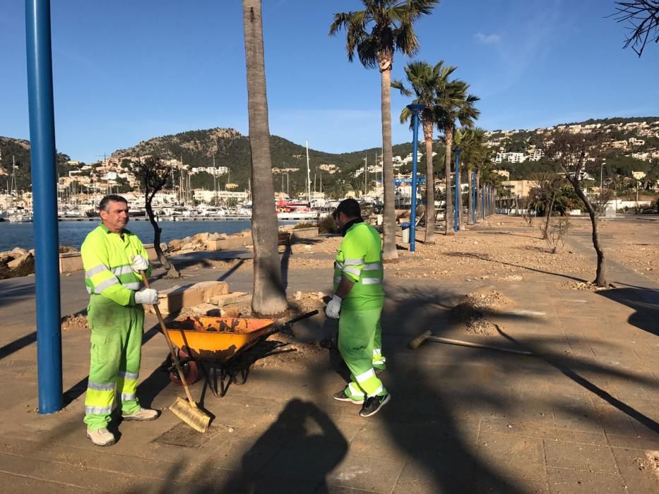 El Port d'Andratx tras el temporal