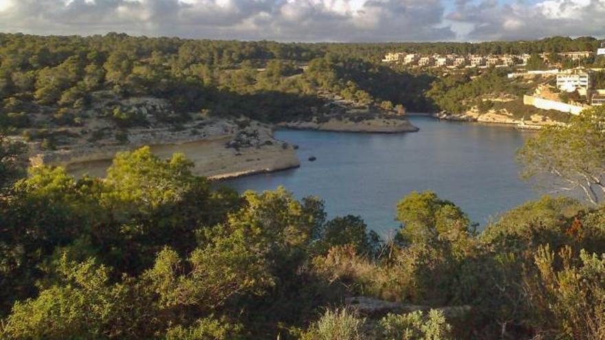 El pozo se encuentra en medio del bosque que rodea la cala de El Mago, en Calvià.