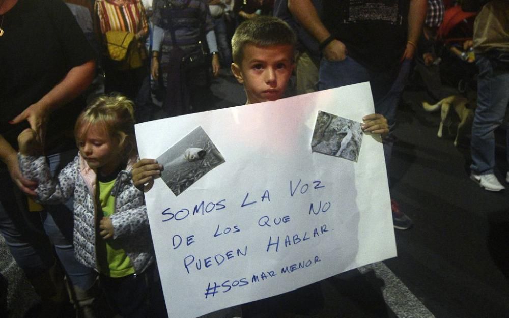 Manifestación en Cartagena: 55.000 personas claman por el Mar Menor (II)