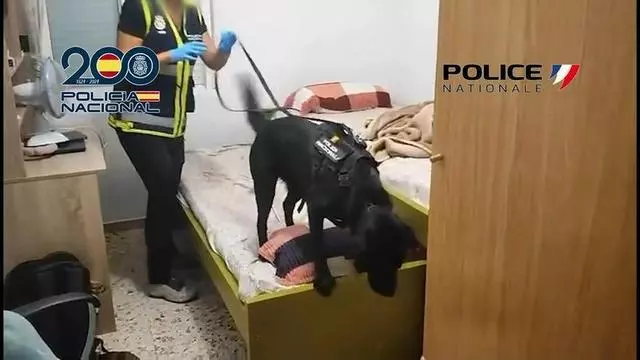 Cae una red que realizaba viajes desde Alicante hasta Francia por 200 euros