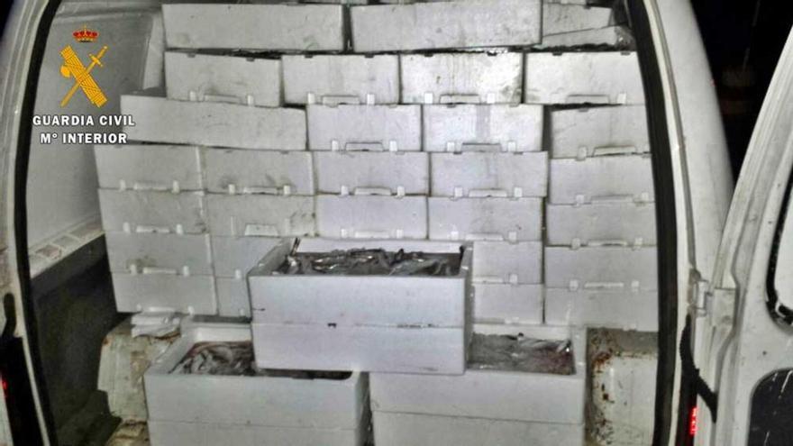 Intervenidos en Almendralejo 500 kilos de pescado transportados en malas condiciones