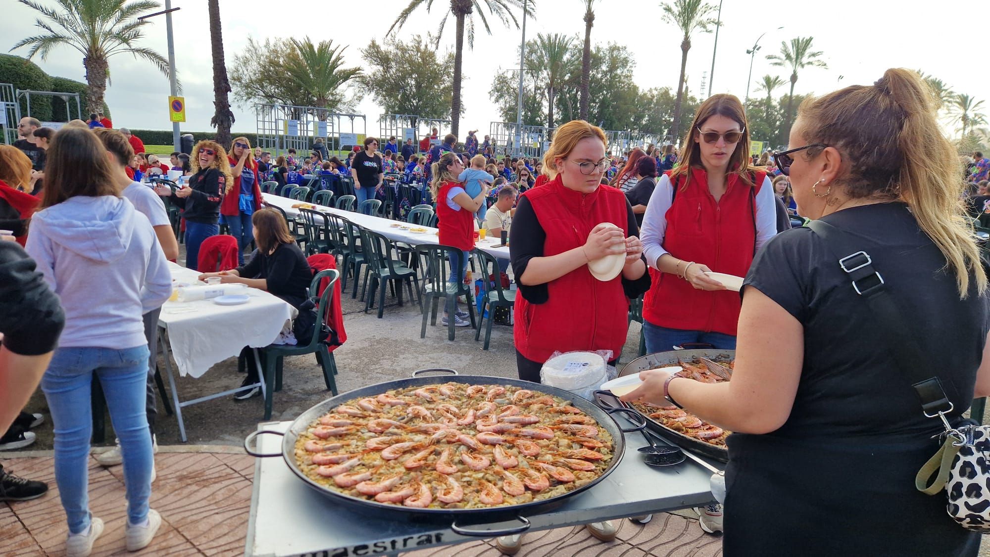 Vinaròs reúne a 3.500 personas en una fiesta de paellas para anunciar el Carnaval 2025