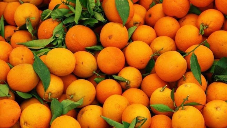 Detenidos un padre y su hijo por robar 5 toneladas de naranjas tras agredir al agricultor en Callosa de Segura