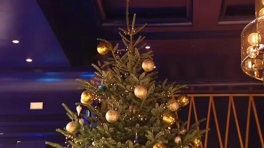 Instalan el árbol más caro del mundo en la localidad malagueña de Estepona