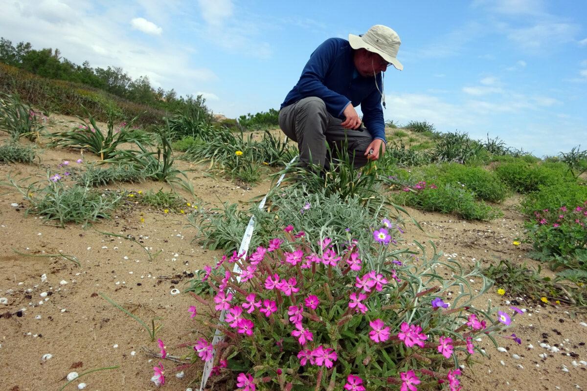 Un botánico en pleno trabajo de campo, en una imagen de archivo.