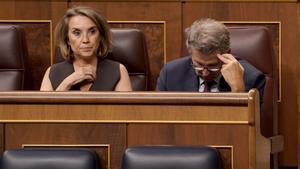 Alberto Núñez Feijóo y Cuca Gamarra en la sesión de control en el Congreso de los Diputados.