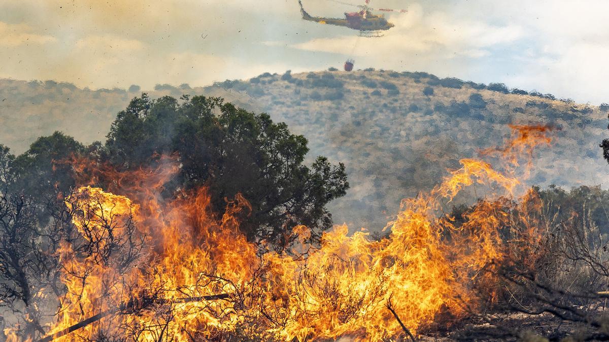 Incendio en el Parc Natural de la Font Roja, en Ibi.
